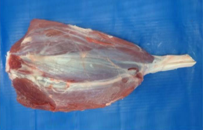 冷凍去骨 牛龜腱