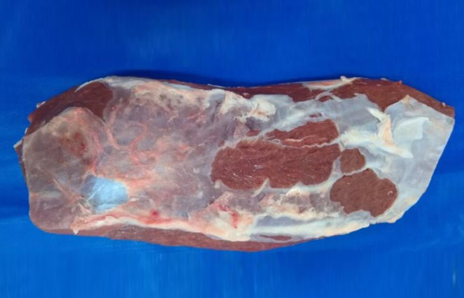 冷凍去骨 牛板腱