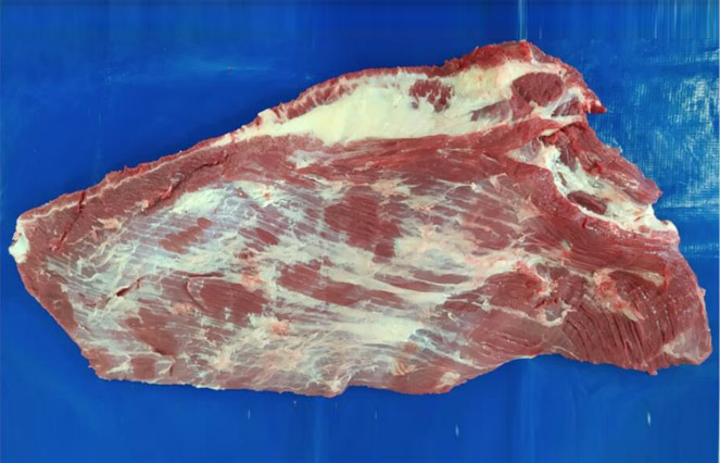 冷凍去骨 牛胸肉